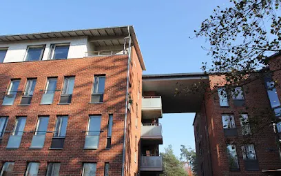 Ossinsauna